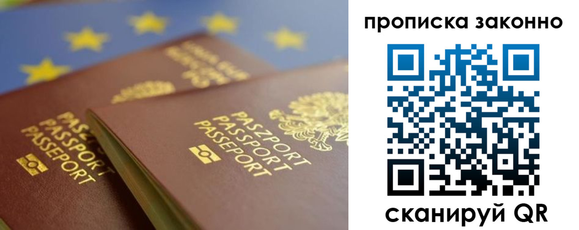 прописка в Ртищево